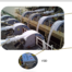 Trelleborg LNG Transfer Solutions